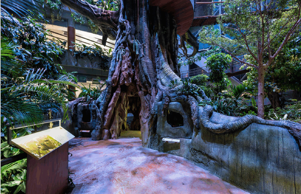 Green Planet Indoor Attraction