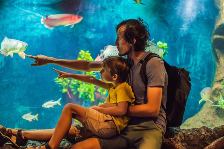 Beat the Heat: Best Indoor Summer Attractions in Dubai (2025)