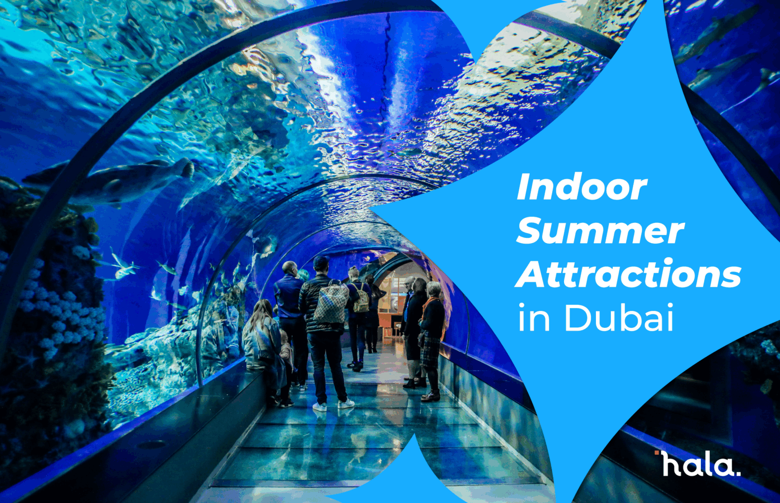 Summar Attractions Dubai