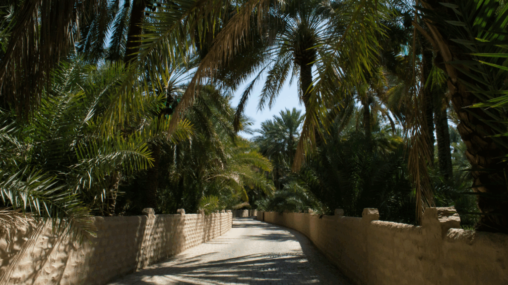 Al Ain Oasis