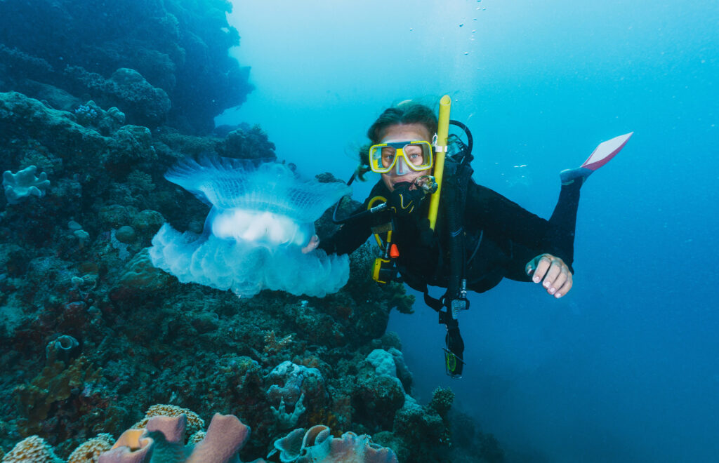 Snorkeling Fujairah
