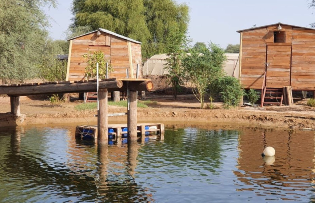 RAK Nature’s Treasures