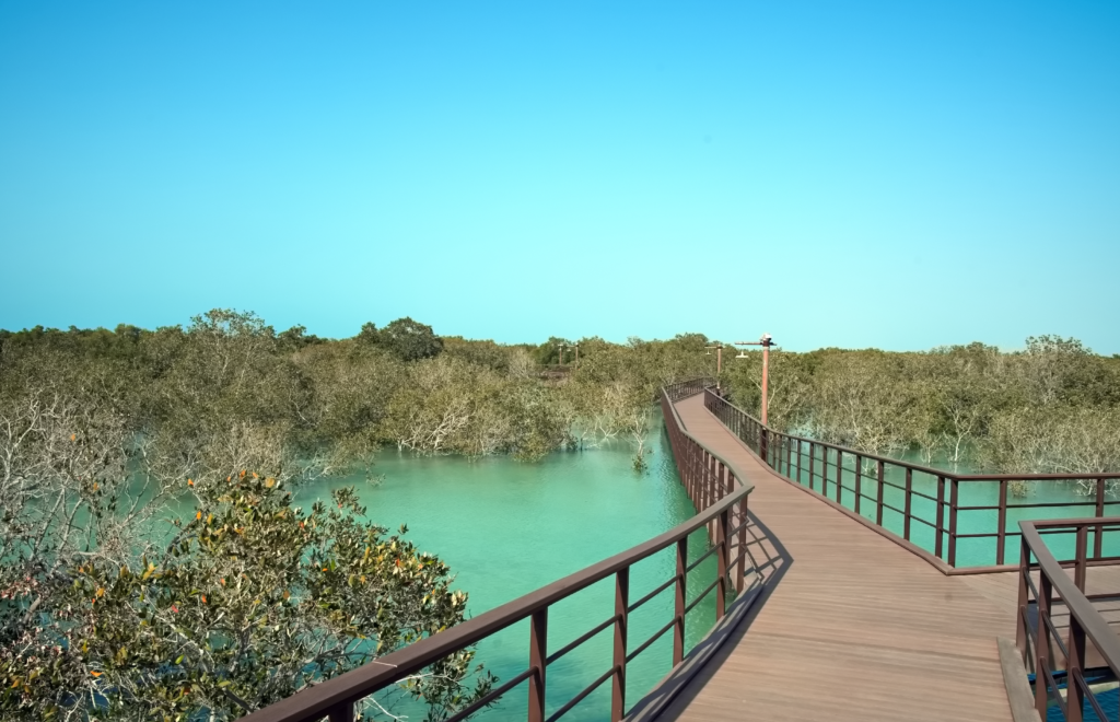 Jubail Mangrove Park