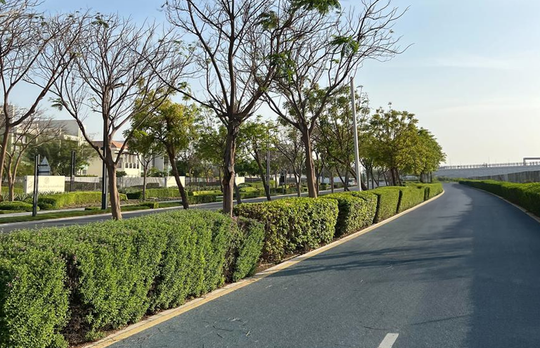 Nad Al Sheba Cycling Track